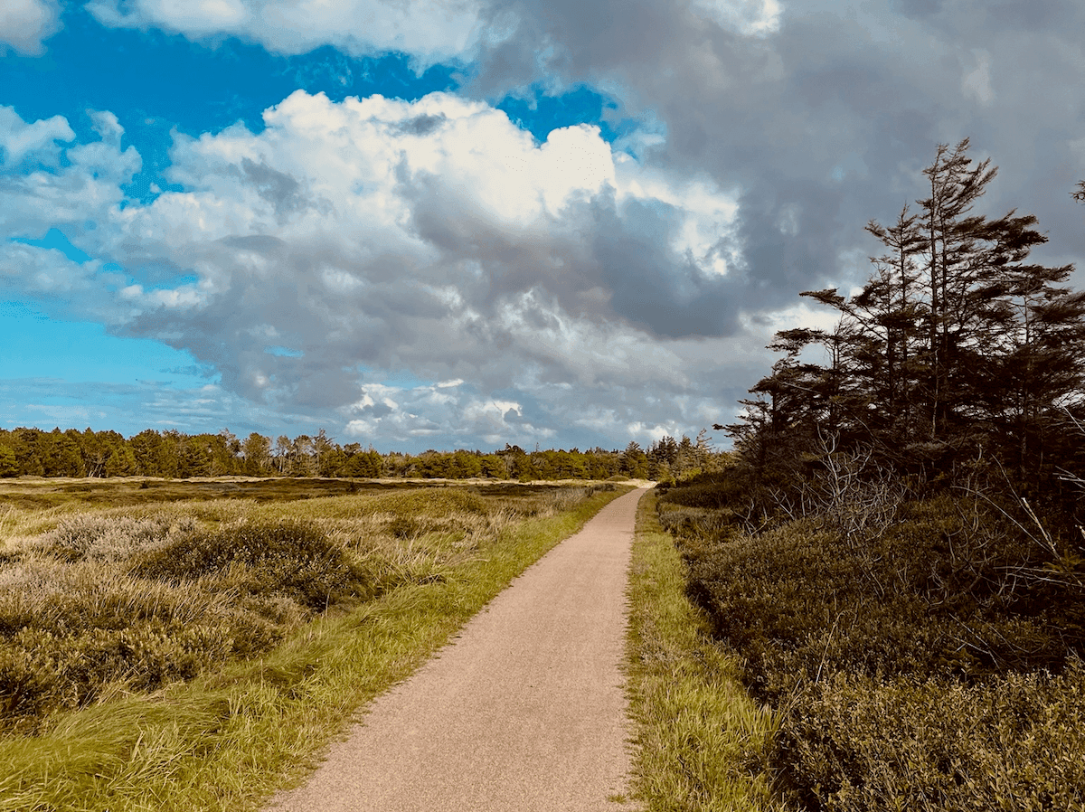 Duny a divoká krajina Národného parku Thy pri Severnom mori