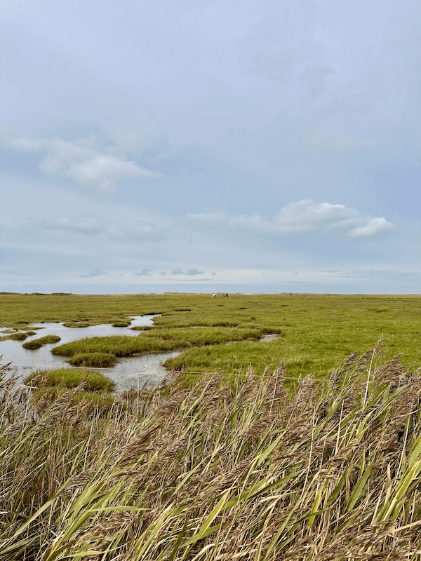 Dánsko – tipy na kaviarne a reštaurácie